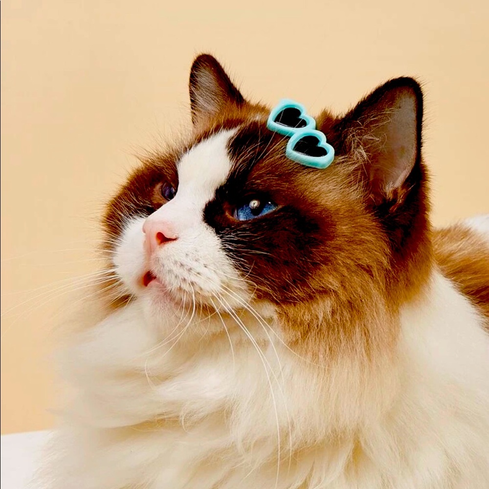Pets hair accessories ❤️